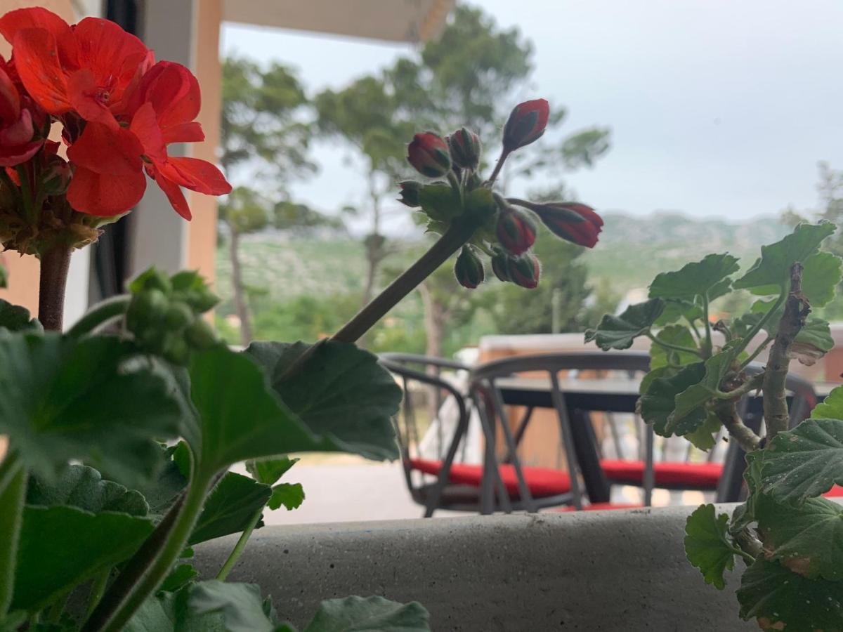 Apartmani Spomenka Seline Dış mekan fotoğraf
