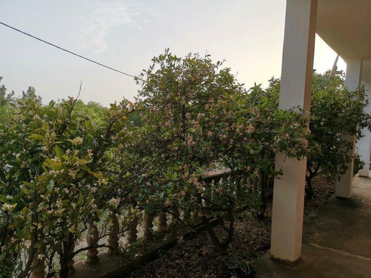 Apartmani Spomenka Seline Dış mekan fotoğraf