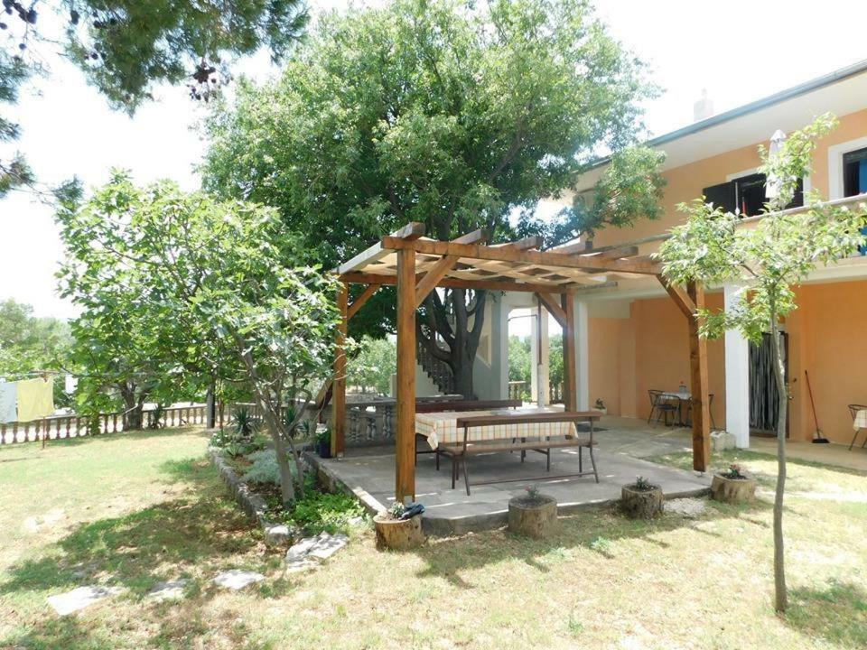 Apartmani Spomenka Seline Dış mekan fotoğraf