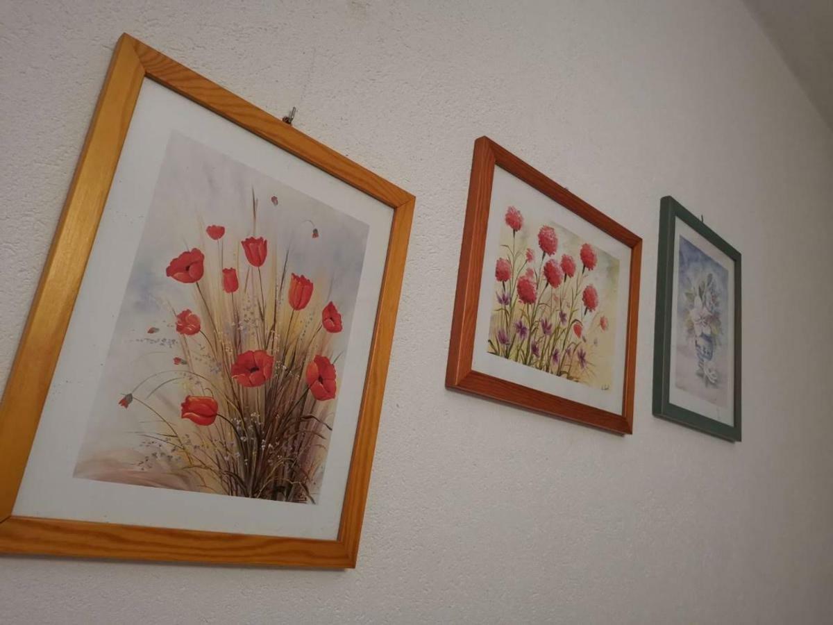 Apartmani Spomenka Seline Dış mekan fotoğraf
