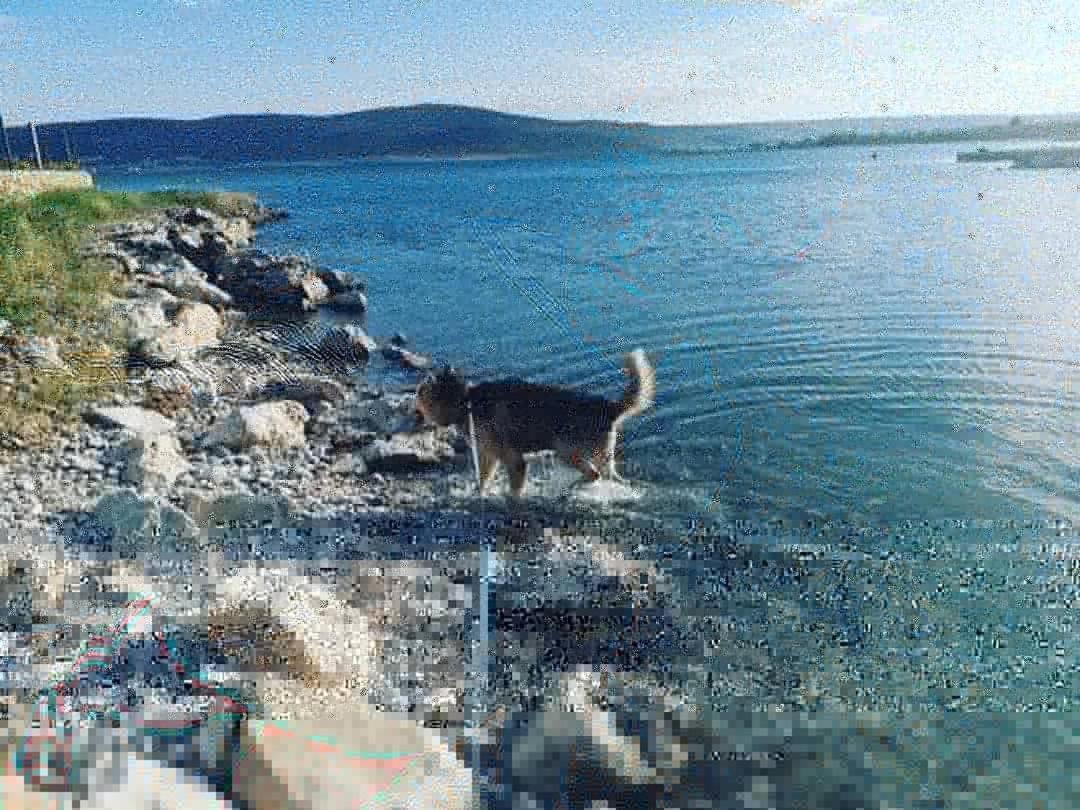 Apartmani Spomenka Seline Dış mekan fotoğraf