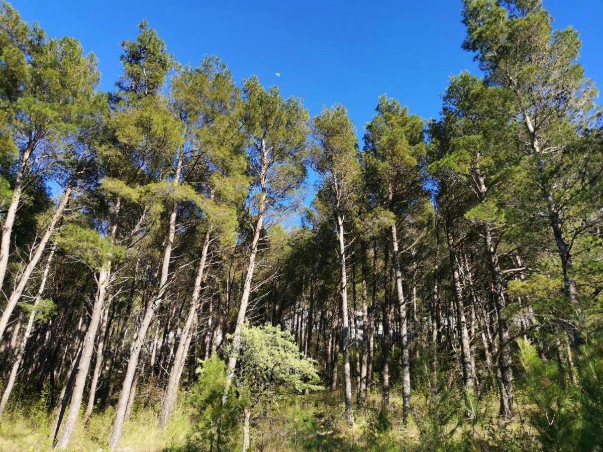 Apartmani Spomenka Seline Dış mekan fotoğraf